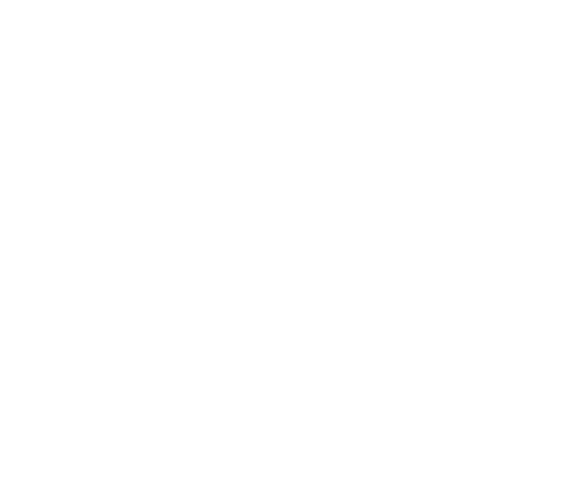 Logo Pyra